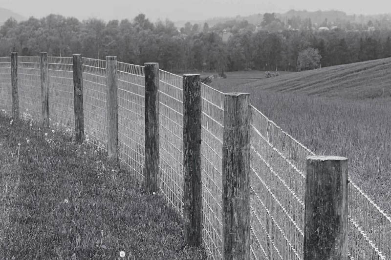 Mid-Atlantic Region Woven Wire Fence