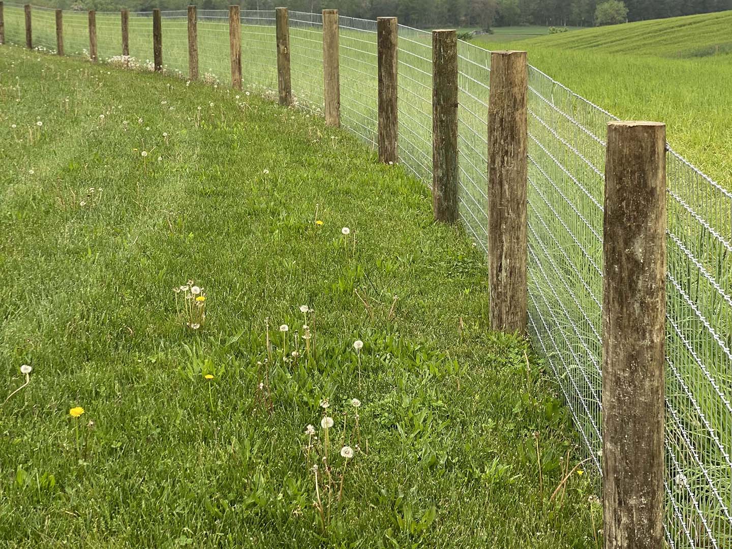 Hampshire County, West Virginia Fence Project Photo