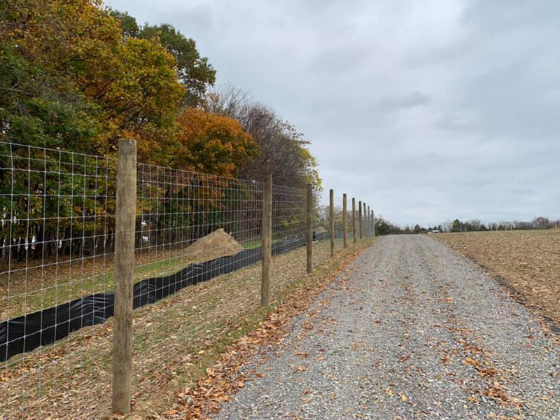 Mineral County, West Virginia Fence Project Photo