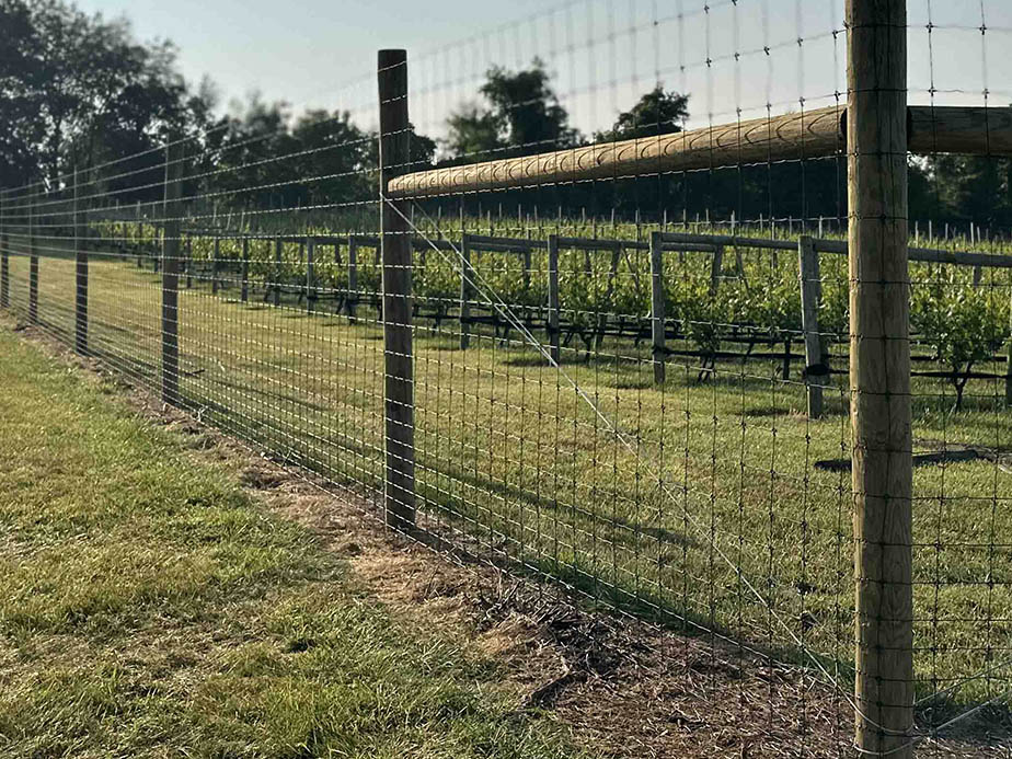 Somerset County MD Deer Fences