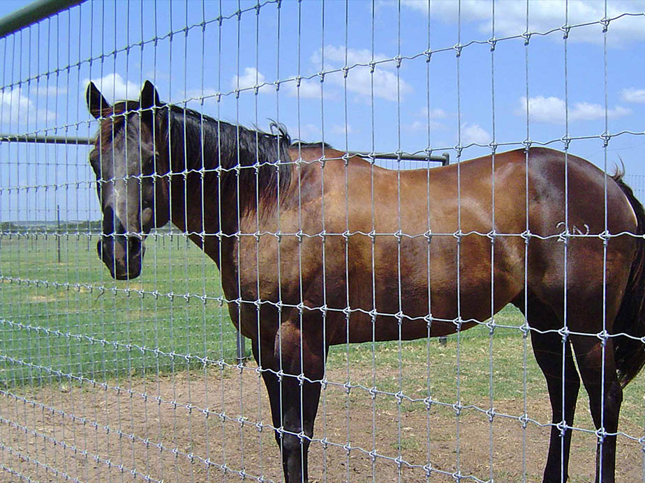 Staytuff Horse Fencing - Mid-Atlantic Region