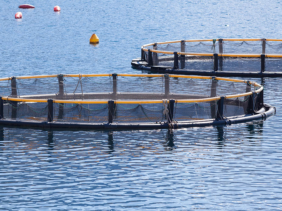 Aquaculture Farm Fence - Mid-Atlantic Region
