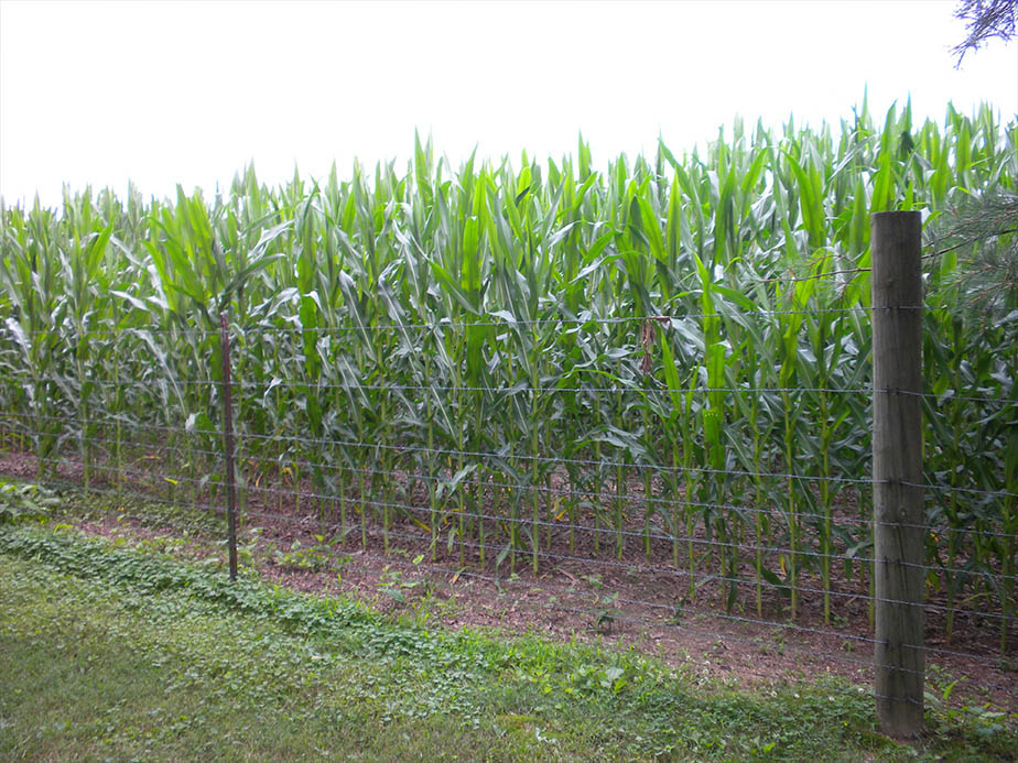 Crop Protection Farm Fence - Mid-Atlantic Region